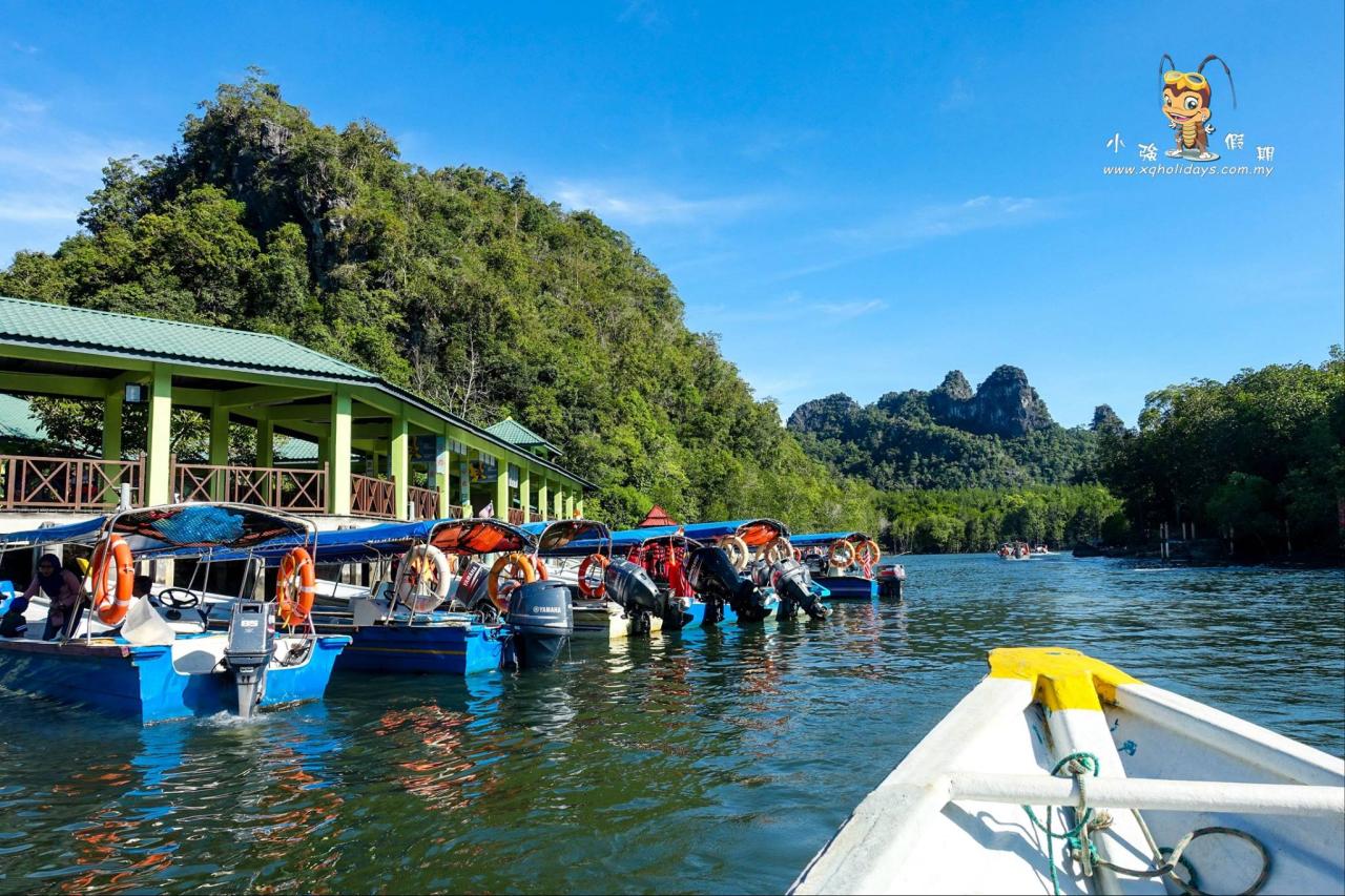 Jelajahi Mangrove Tour Langkawi: Keindahan Ekosistem yang Memesona